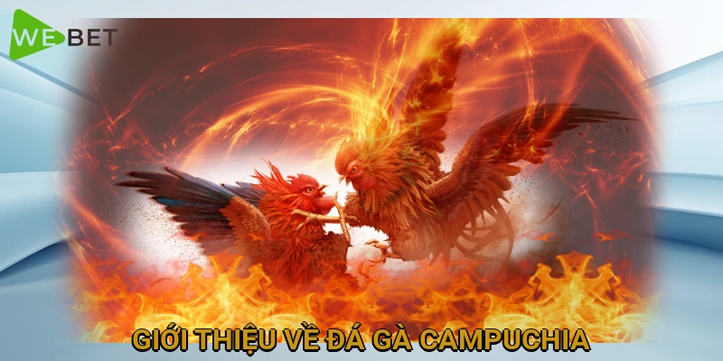 gioi-thieu-ve-da-ga-campuchia