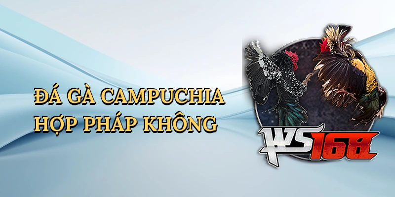 da-ga-campuchia-hop-phap-khong-1