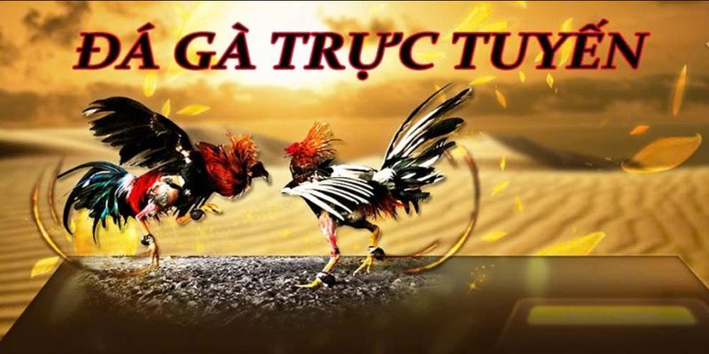 man-so-tai-cang-thang-giua-hai-chien-ke
