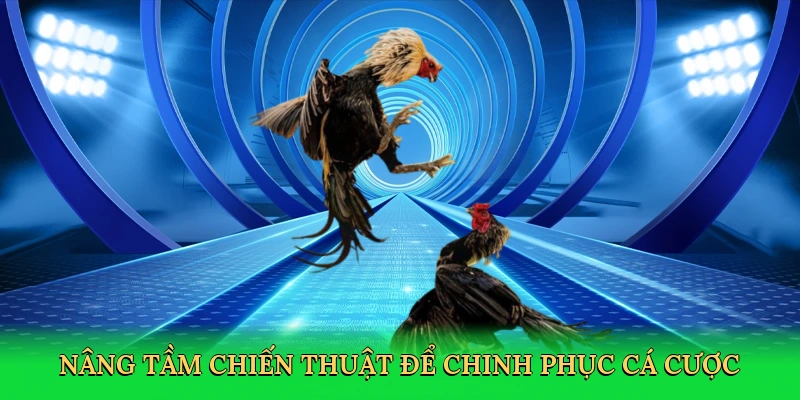 nang-tam-chien-thuat-de-chinh-phuc-ca-cuoc-4