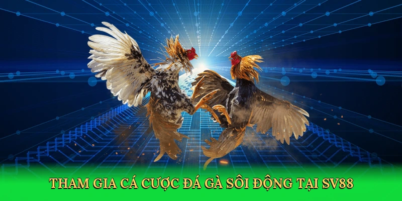 tham-gia-ca-cuoc-da-ga-soi-dong-tai-sv88-3