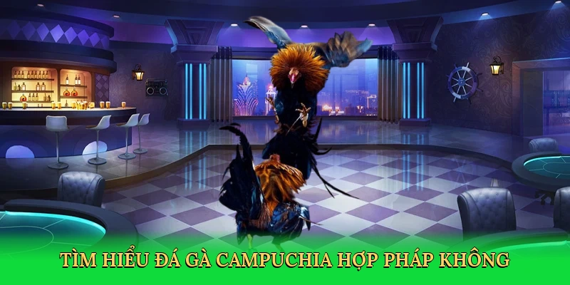 tim-hieu-da-ga-campuchia-hop-phap-khong-2